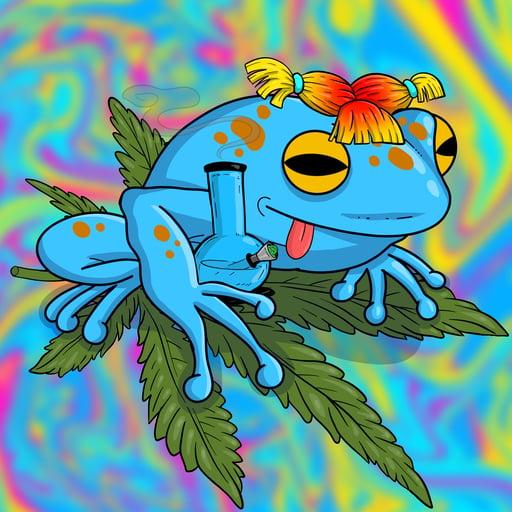 Collie Buddz Twisted Tree Frogs Massive #479