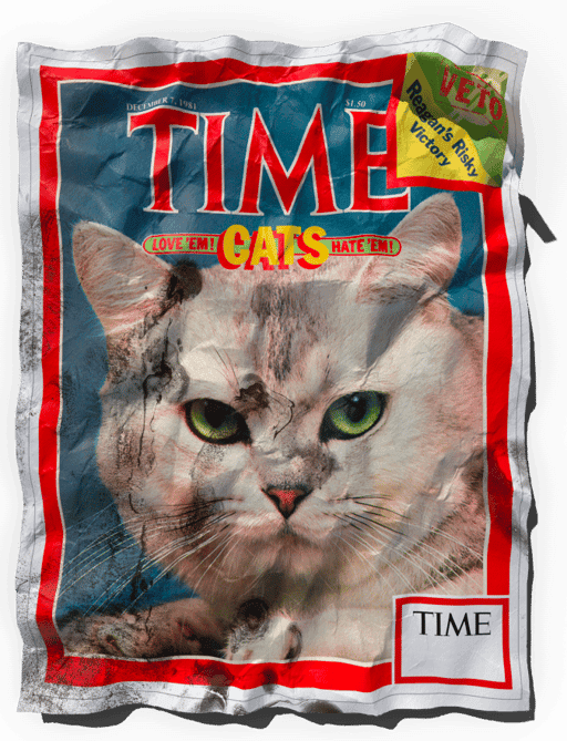 TIME Cats Love 'em! Hate 'em! - December 7th, 1981