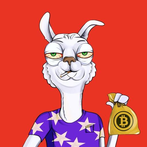 Bullish Llama #7265