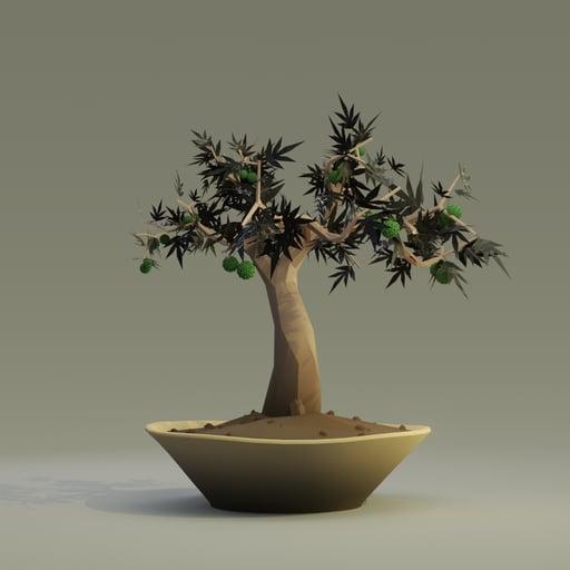 Bonsai #4875