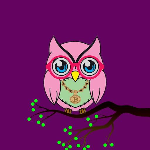 WGMI Owl #16