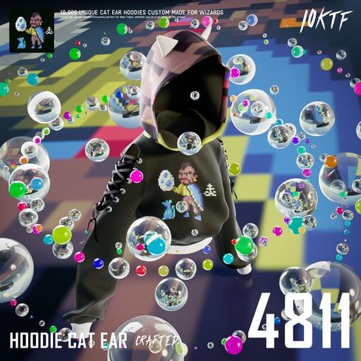 Wizard Cat Ear Hoodie #4811