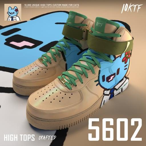 Cool High Tops #5602