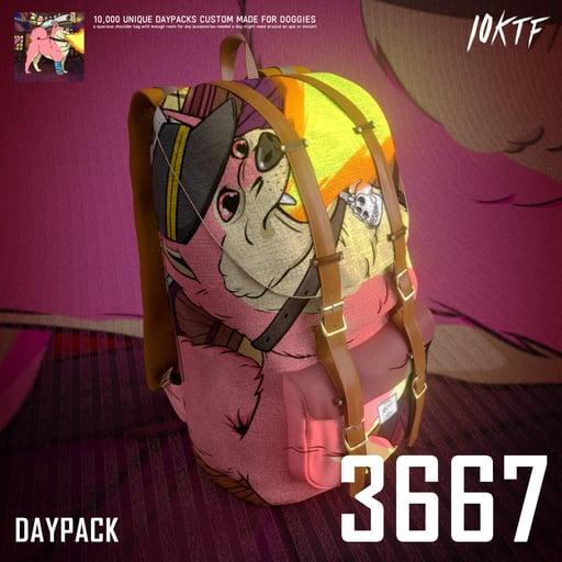 Kennel Daypack #3667