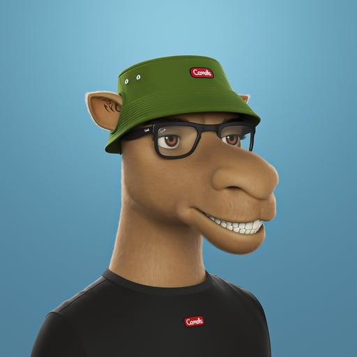 Camel 3D #37