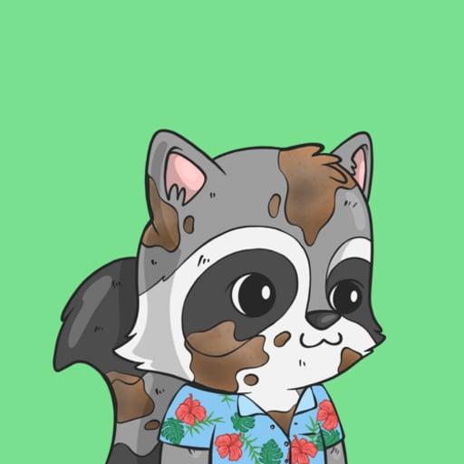 LookAtMyRaccoon #1706