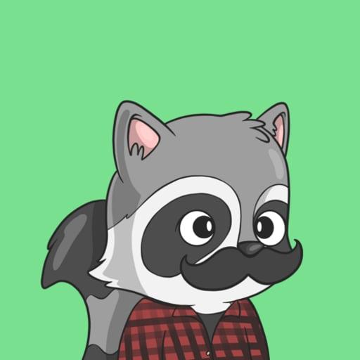 LookAtMyRaccoon #5675