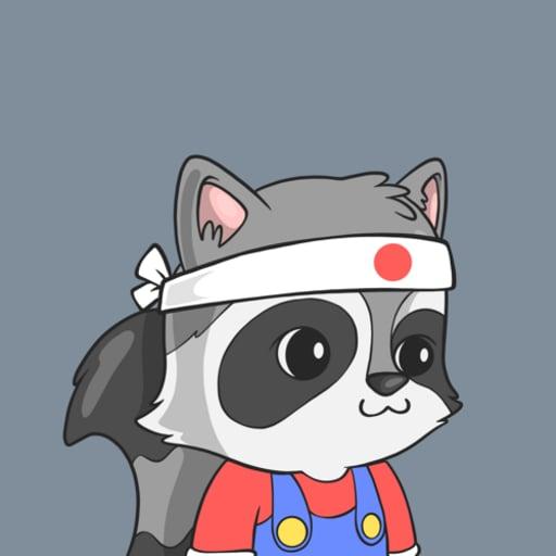 LookAtMyRaccoon #60