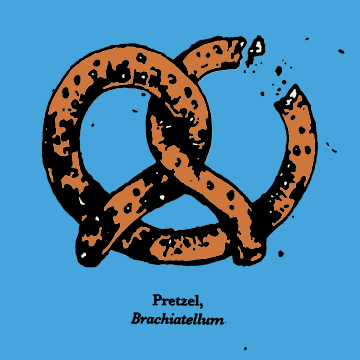 Pretzel #169/344 - FEED