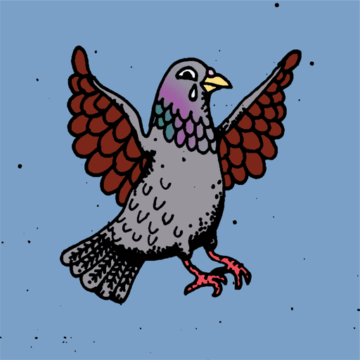 Hood Pigeon #2914