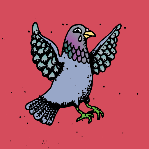 Hood Pigeon #1657