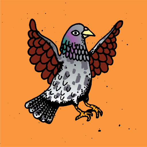 Hood Pigeon #33