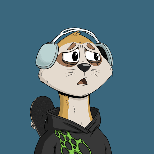 Worried Meerkat #17