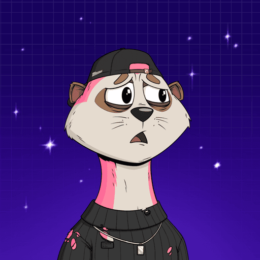 Worried Meerkat #979