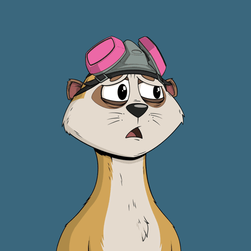 Worried Meerkat #10