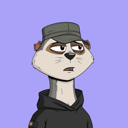 Worried Meerkat #12