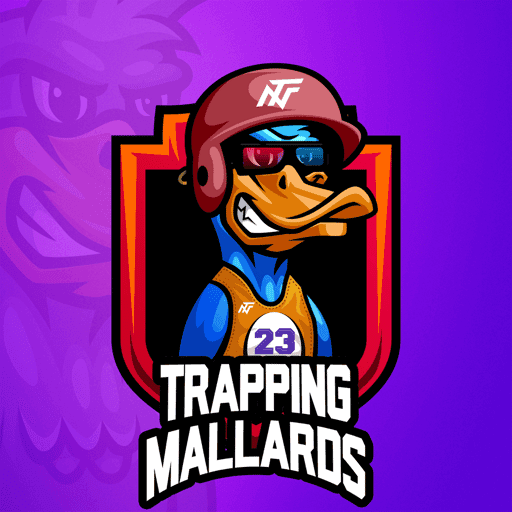 Trapping Mallards