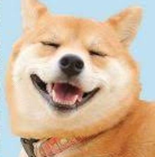 HAPPYSHIBE