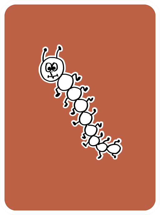 Sensitive Centipede