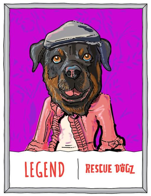 Rescue Dogz #20