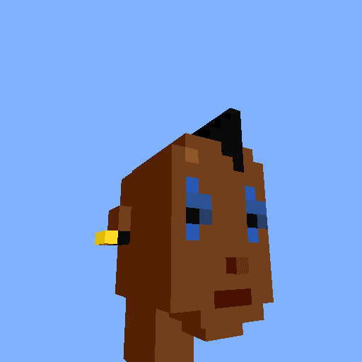 PunkVoxels #9719