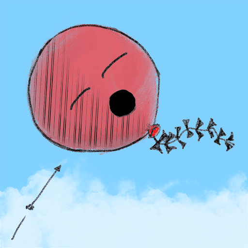 Luftballon 2007