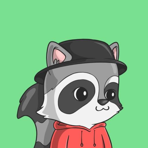 LookAtMyRaccoon #5806