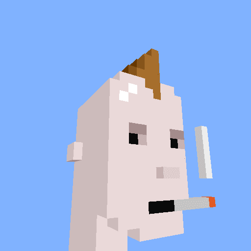 PunkVoxels #8355