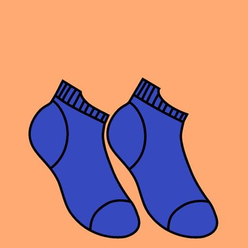 Basic Needs: SOCKS! #40