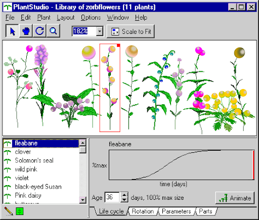 Library of Zorbflowers 24