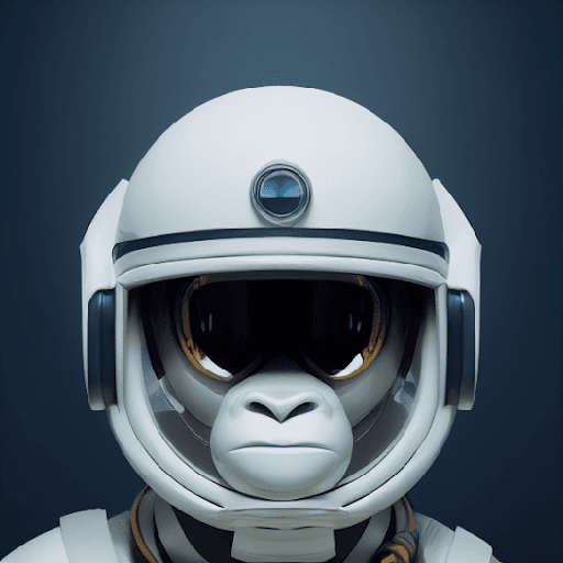 Space Monkey #16