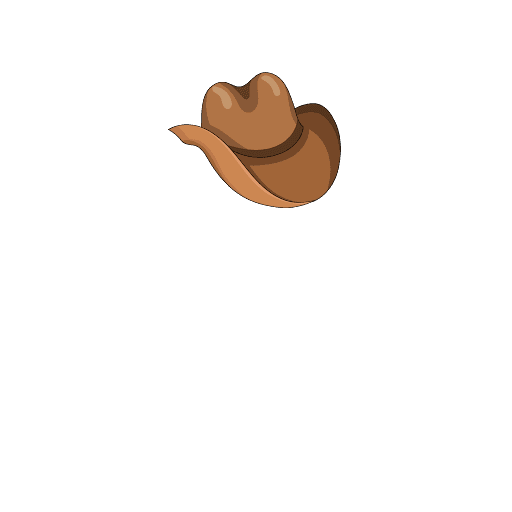 Cowboy Hat