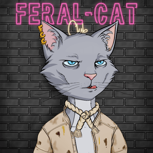 Feral Cat Club #37