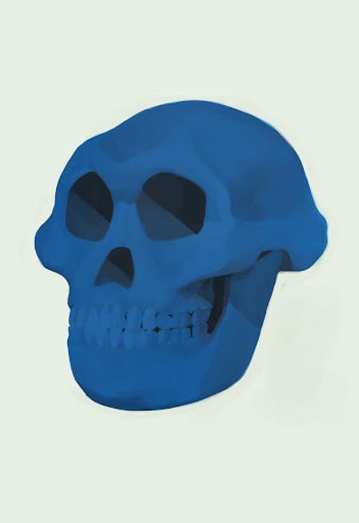 Ape Skull