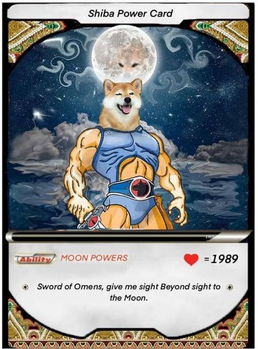 Shiba Power Card