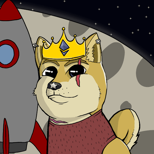 DogeXJR#2051