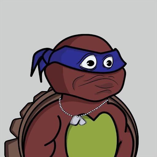 Degen Ninja Turtle #55