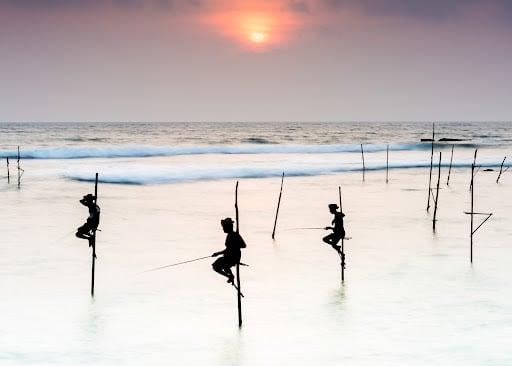 Stilt fishermen at sunset #5