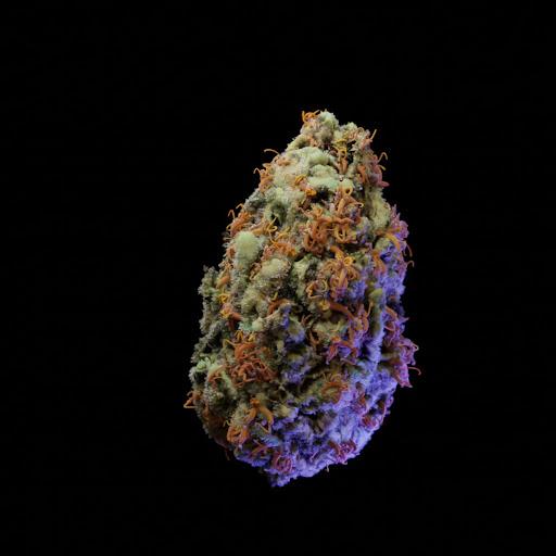 Orange Bud