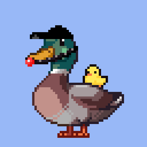 Mallard #8843