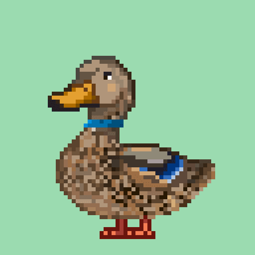 Mallard #6891