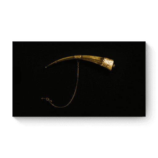 Huia Beak Brooch