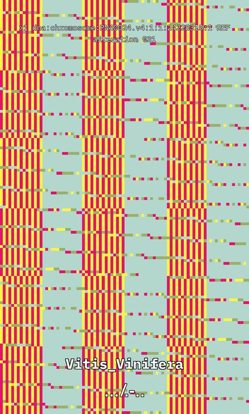 Vitis DNA Alteration #31