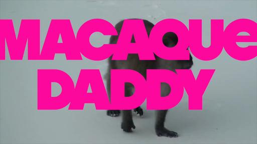 Macaque Daddy 12/100