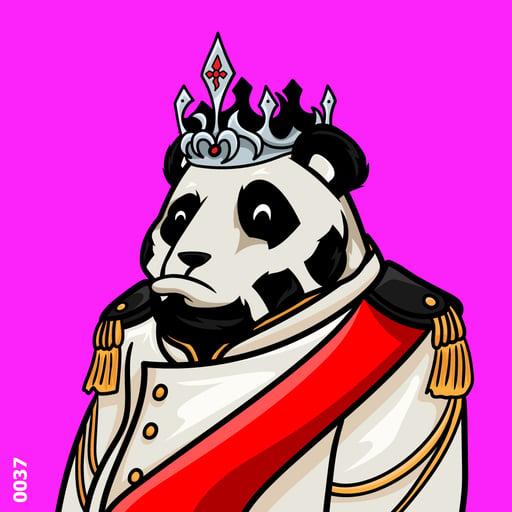 Royal_Pandas_0037