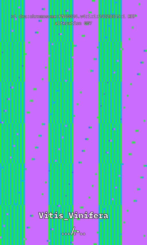 Vitis DNA Alteration #7