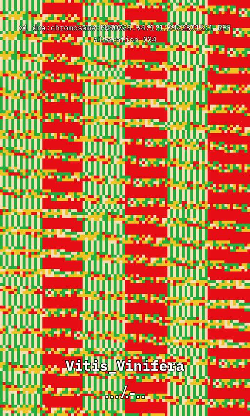 Vitis DNA Alteration #34