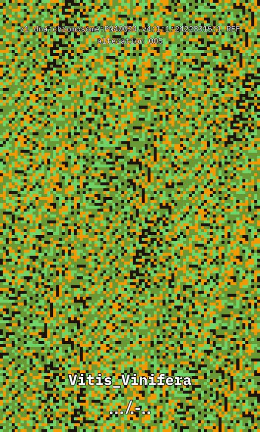 Vitis DNA Alteration #5