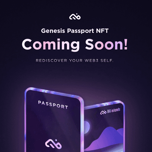 Bit islands Genesis Passport NFT WL