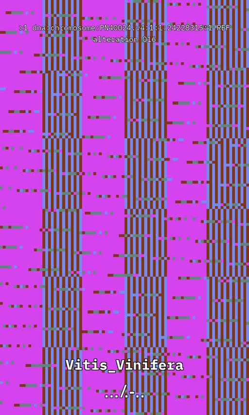 Vitis DNA Alteration #16